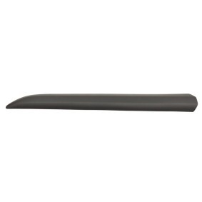 Zier- / Schutzleiste, Türscheibe FT90467G von FAST günstig für 66,80 € online kaufen