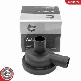 Ventil, Kurbelgehäuseentlüftung 31SKV405 von ESEN SKV günstig für 33,43 € online kaufen