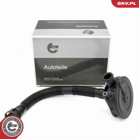Köp Ventil, vevhusventilation av ESEN SKV 31SKV410 till det låga priset 286,76 kr