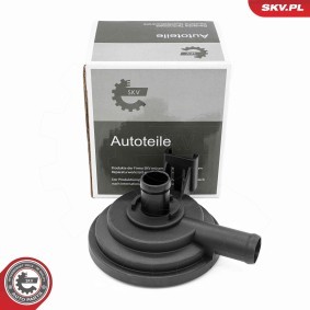 Compre Válvula, respiro do cárter da cambota da ESEN SKV 31SKV416 a um preço baixo por 30,90 €