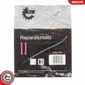 Acquista Kit riparazione cavi, Luce targa da ESEN SKV 53SKV214 a buon mercato per soli 6,87 €