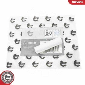 Achetez des Pommeau de vitesse ESEN SKV 63SKV998 à prix pour 4,85 €