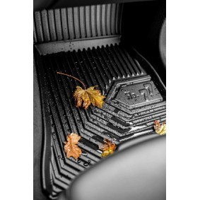 Fußmatten 77429536 von FROGUM günstig für 41,18 € online kaufen