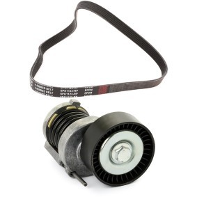 Comprar Juego de correas trapeciales poli V de RIDEX PLUS 542R0248P a bajo precio de 52,30 €