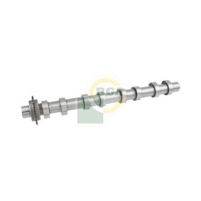 Köp Kamaxel av BGA CS14004 till det låga priset 2717,44 kr