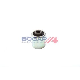 Umlenk- / Führungsrolle, Keilrippenriemen A1320108 von BOGAP günstig für 18,21 € online kaufen