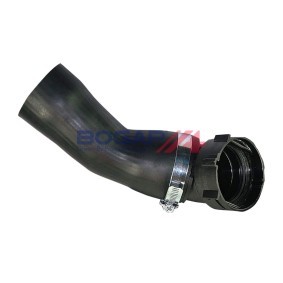 Ansaugbrücke B1712104 von BOGAP günstig für 203,73 € online kaufen