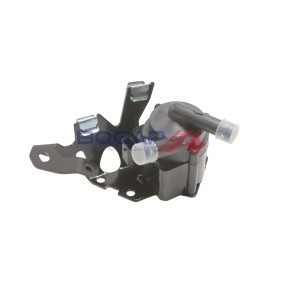 Zusatzwasserpumpe P4233101 von BOGAP günstig für 83,46 € online kaufen