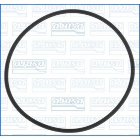 Dichtung, Wasserpumpe 16087000 von AJUSA günstig für 12,87 € online kaufen