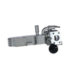 Compre Radiador EGR da STARQ SQ322-01163 a um preço baixo por 189,96 €