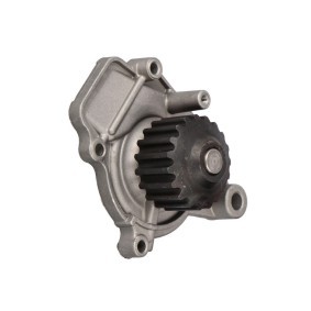Achetez des Pompe à eau LTD LTD-19200P01003 à prix pour 19,17 €
