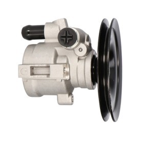 Acquista Pompa idraulica, sterzo da PROCARO 11-OP-110 a buon mercato per soli 129,02 €