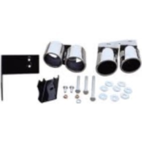 Comprar Cola de escape de DIEDERICHS 4101920 a bajo precio de 208,68 €