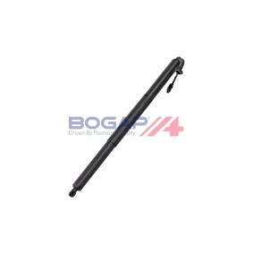 Ansaugbrücke C1712112 von BOGAP günstig für 143,76 € online kaufen