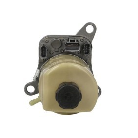 Achetez des Pompe de direction assistée RIVOLV RIV220001 à prix pour 383,77 €