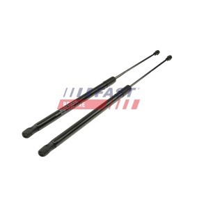Comprar Amortiguador de maletero de FAST FT00187 a bajo precio de 9,99 €
