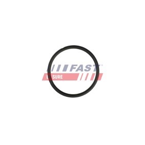 Acquista Manicotto radiatore da FAST online per DAILY V Cassone / Furgonato / Promiscuo a prezzi moderati