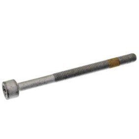 Schraube, Einspritzdüsenhalter 10 92 8407 von SWAG günstig für 2,34 € online kaufen