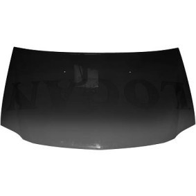 Motorhaube 4420000 von DIEDERICHS günstig für 157,16 € online kaufen