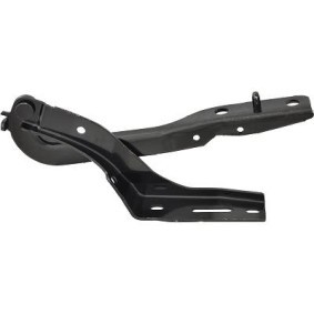 Achetez des Charnière, capot-moteur DIEDERICHS 4234018 à prix pour 61,58 €