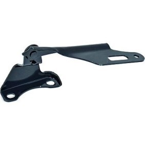 Achetez des Charnière, capot-moteur DIEDERICHS 5208019 à prix pour 15,47 €