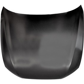 Motorhaube 1028000 von DIEDERICHS günstig für 294,68 € online kaufen