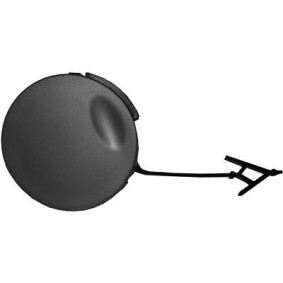 Klappe, Abschlepphaken 1806164 von DIEDERICHS günstig für 14,93 € online kaufen