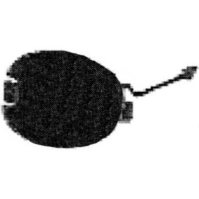 Klappe, Abschlepphaken 3452061 von DIEDERICHS günstig für 5,50 € online kaufen