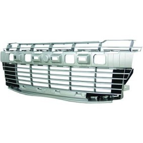 Compre Grelha de radiador da DIEDERICHS 4225446 a um preço baixo por 77,83 €