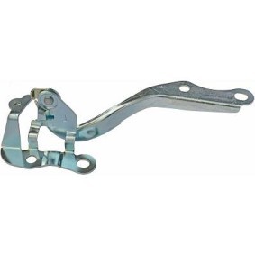 Acquista Cerniera, Cofano motore da DIEDERICHS 6606018 a buon mercato per soli 18,65 €