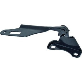 Achetez des Charnière, capot-moteur DIEDERICHS 5208018 à prix pour 15,47 €