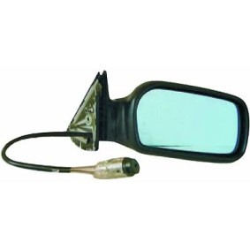 Compre Espejo retrovisor de DIEDERICHS online para 100 C4 Sedán (4A, 4A2) a precios moderados