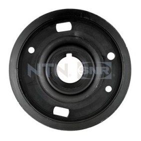 Riemenscheibe, Kurbelwelle DPF359.28 von SNR günstig für 56,14 € online kaufen