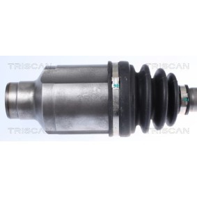 Dichtungssatz, Kurbelgehäuse 595-2101 von TRISCAN günstig für 18,11 € online kaufen