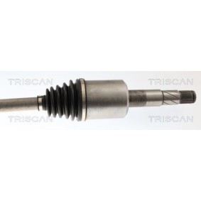 Dichtungssatz, Kurbelgehäuse 595-2593 von TRISCAN günstig für 80,83 € online kaufen