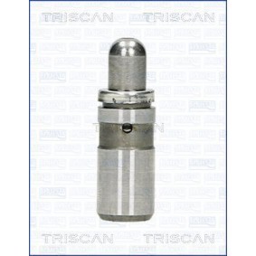 Hydrostößel 80-24010 von TRISCAN günstig für 39,66 € online kaufen