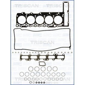 Dichtungssatz, Zylinderkopf 598-4192 von TRISCAN günstig für 168,32 € online kaufen