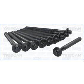 Zylinderkopfschraubensatz 98-6013 von TRISCAN günstig für 39,23 € online kaufen