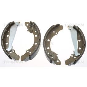 Bremsbackensatz 8100 10520 von TRISCAN günstig für 32,17 € online kaufen