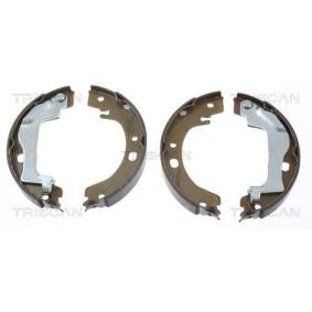 Bremsbackensatz, Feststellbremse 8100 13041 von TRISCAN günstig für 43,73 € online kaufen