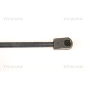 Bremsscheibe 8120 23118 von TRISCAN günstig für 21,03 € online kaufen