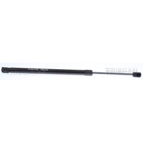 Bremsscheibe 8120 23133 von TRISCAN günstig für 33,90 € online kaufen