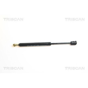 Bremsscheibe 8120 23178 von TRISCAN günstig für 48,16 € online kaufen