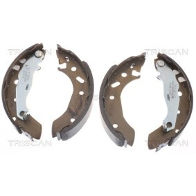 Bremsscheibe 8120 23187 von TRISCAN günstig für 34,58 € online kaufen