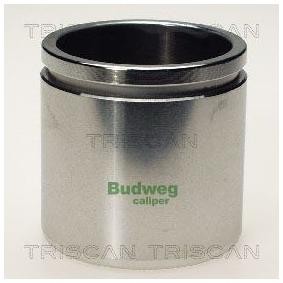 Køb Stempel, bremsekaliper af TRISCAN 8170 235419 til den lave pris 248,95 DKK