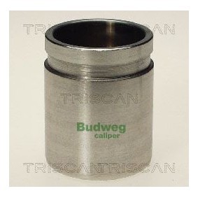Temperaturschalter, Kühlerlüfter 8625 57100 von TRISCAN günstig für 13,51 € online kaufen