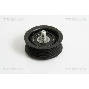 Umlenk- / Führungsrolle, Keilrippenriemen 8641 102033 von TRISCAN günstig für 27,86 € online kaufen
