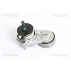 Spannarm, Keilrippenriemen 8641 103020 von TRISCAN günstig für 86,35 € online kaufen
