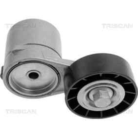 Spannarm, Keilrippenriemen 8641 243002 von TRISCAN günstig für 75,08 € online kaufen