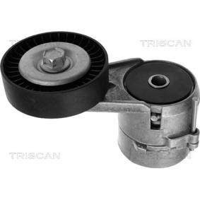 Spannarm, Keilrippenriemen 8641 243005 von TRISCAN günstig für 53,02 € online kaufen